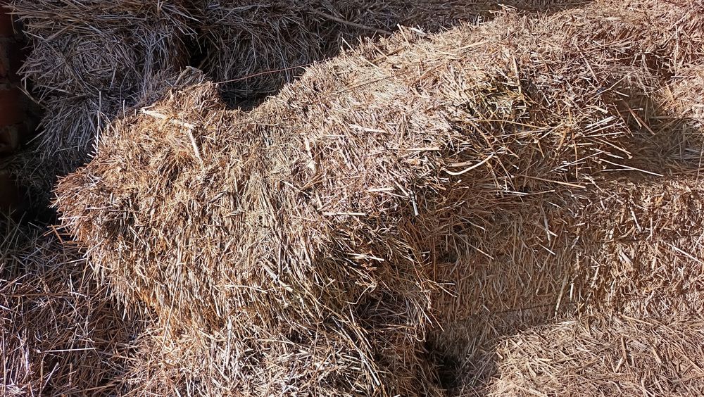 Fardos palha de aveia