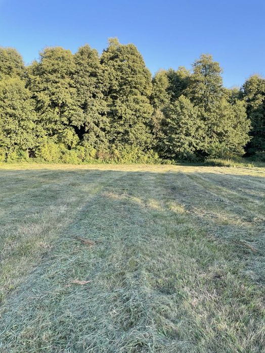 Sprzedam działkę– Józefowo, Gmina Słupca - Więcej
