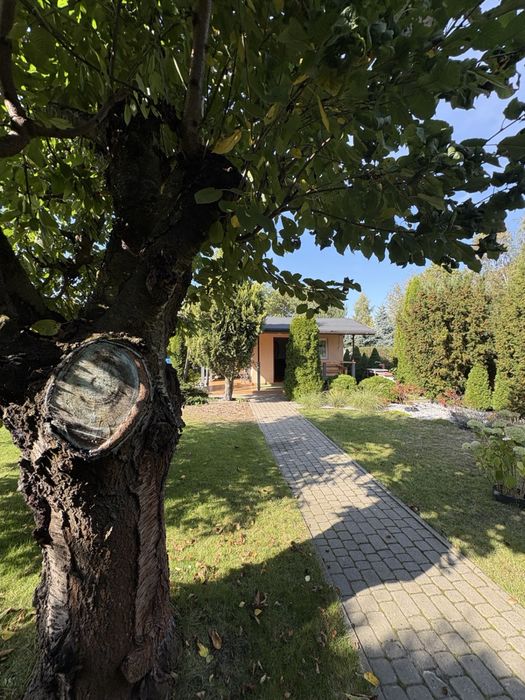 Sprzedam działkę w Ozorkowie niedaleko od Łodzi - Widok 5