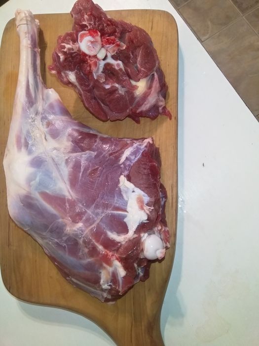 Козлятина продам козине м'ясо