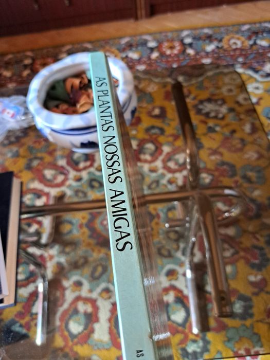 As plantas nossas amigas