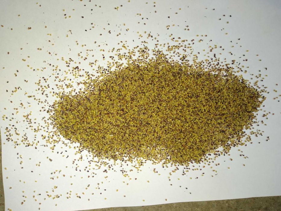 Mieszanka trawa, wieloletnia koniczyna siano bele słoma kupkowka EKO