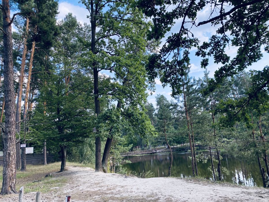 Продам будинок +14 сот землі. вул.Грушова, с.Пилиповичі