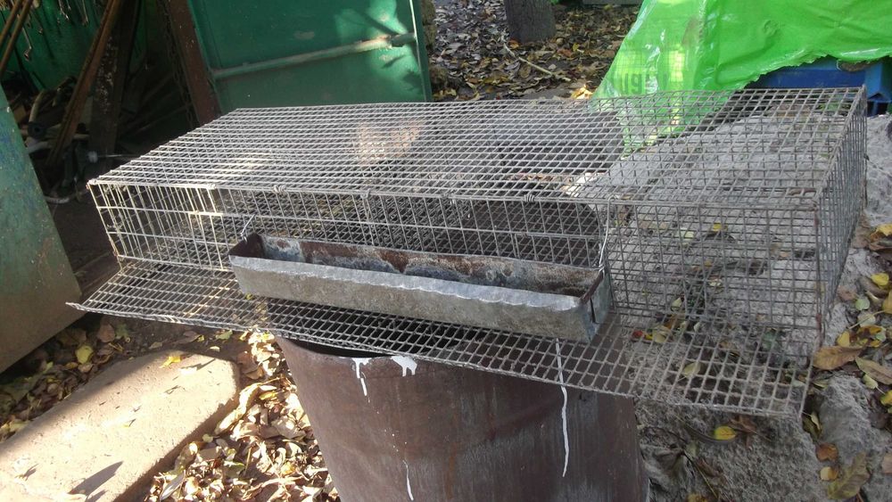 Клітка для перепелів