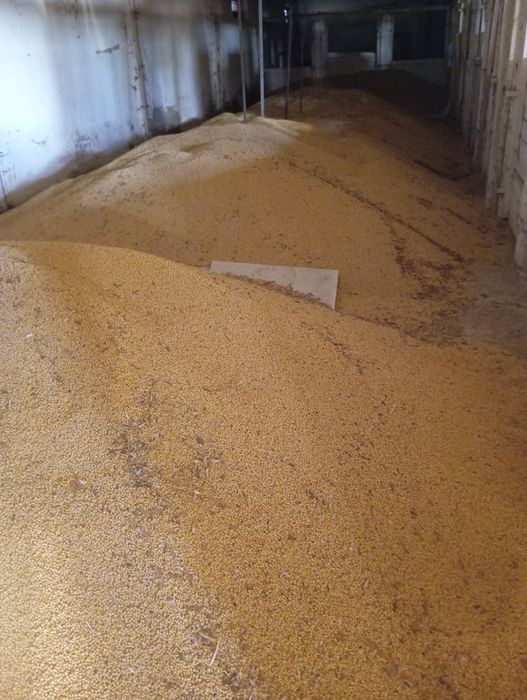 Продам сою 30 тон