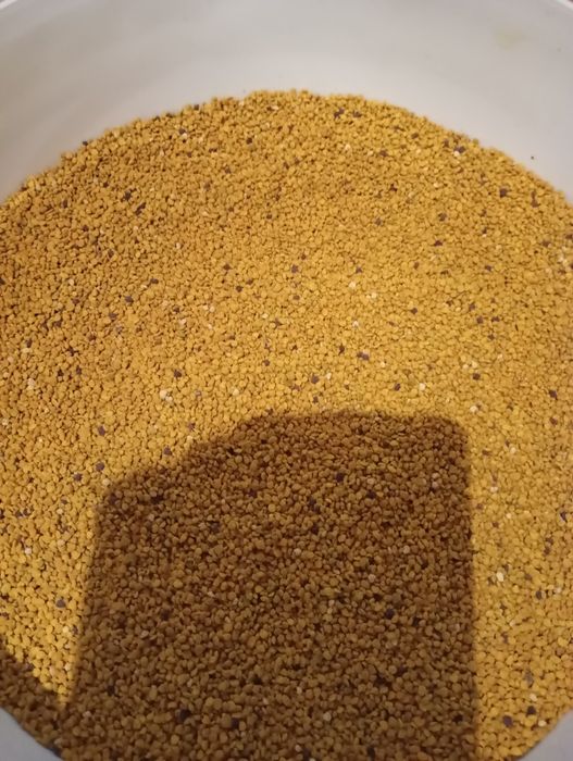 Свіжий бджолиний пилок,пильца