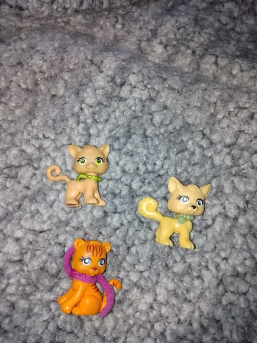 Kotki Polly poket