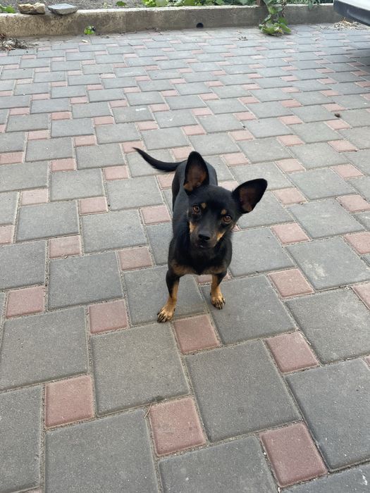 Выкинули в поле с детьми