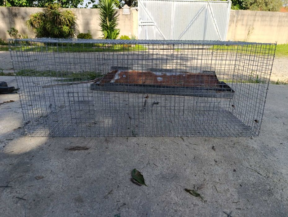 Gaiolas para aves