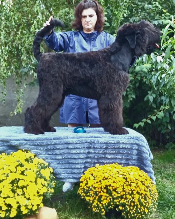 Хлопчики 5,5 місяців