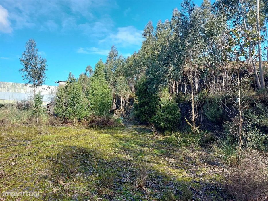 Plot of Land in the Mimosas Industrial Zone