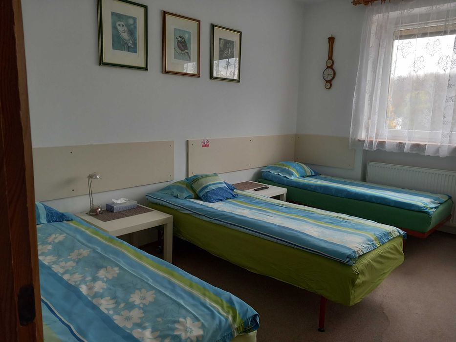 Poznań ładne Pokoje wynajem lub całe piętro dla firmy na wyłączność FV