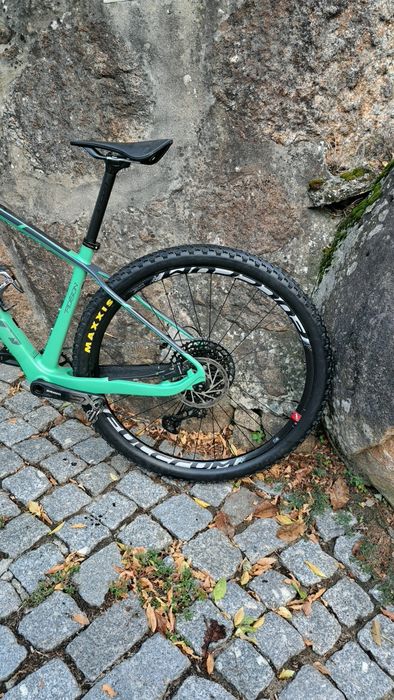 Coluer poision sl