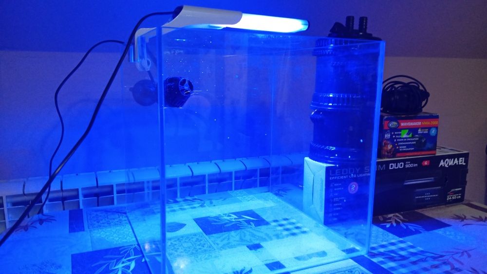 Akwarium morskie zestaw 35x35x35