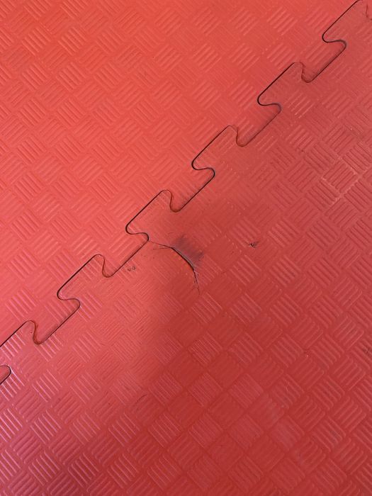 Tatamis em excelente estado/excelente densidade