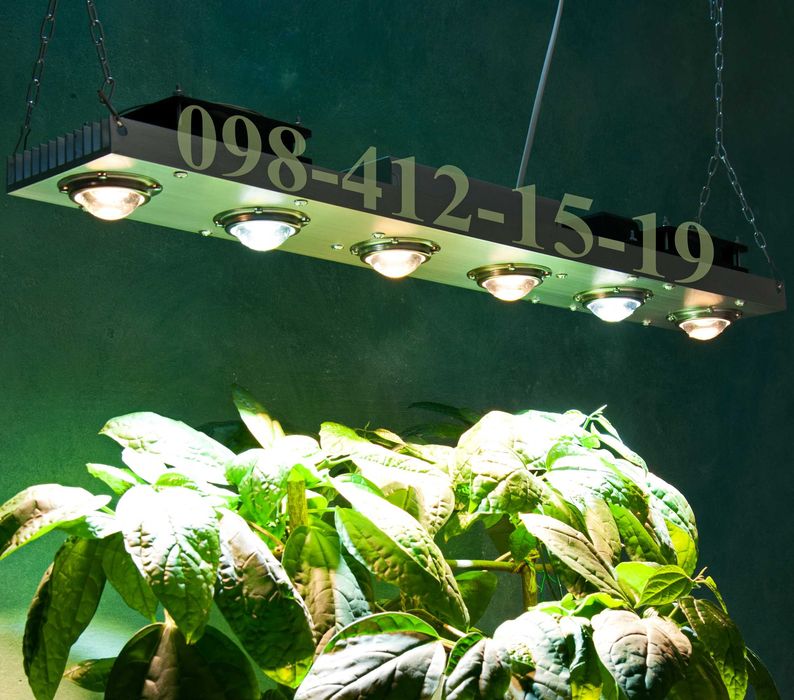 100% CREE USA фитолампа фито лампа для растений гроубокс теплица LED
