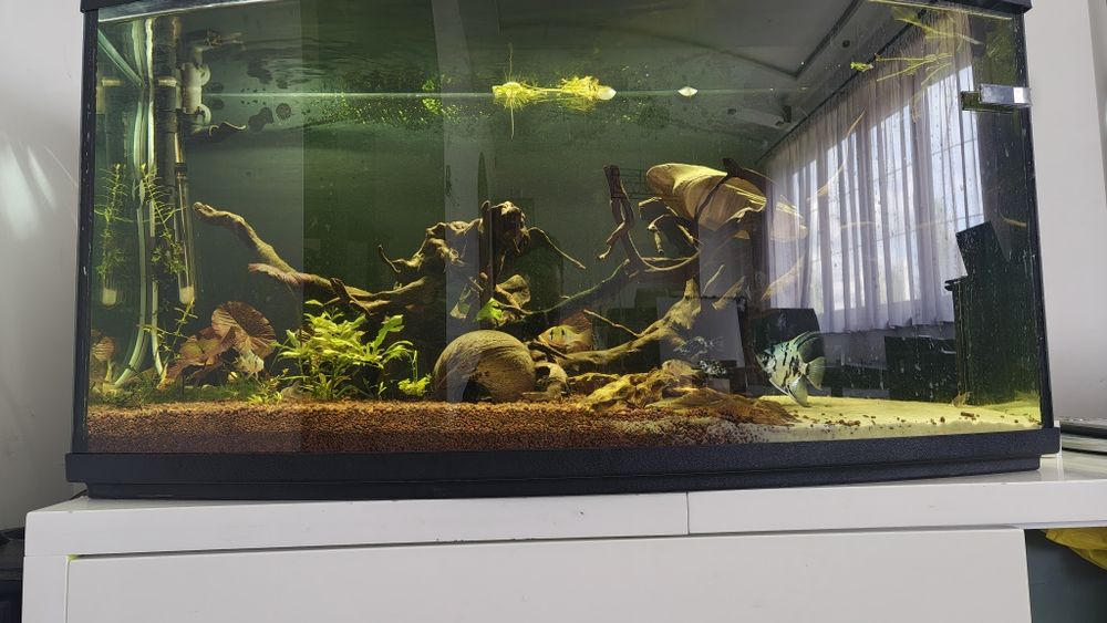 Akwarium 170L. Panorama Aquel z szafką, filtr zewnętrzny  LED