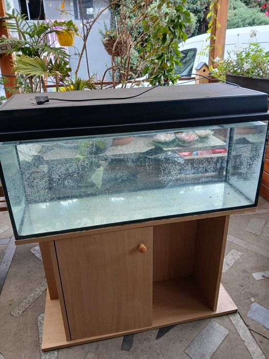 Akwarium z szafką