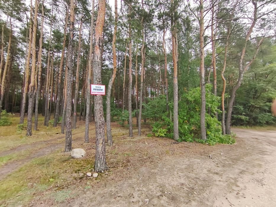 Zdjęcie 6