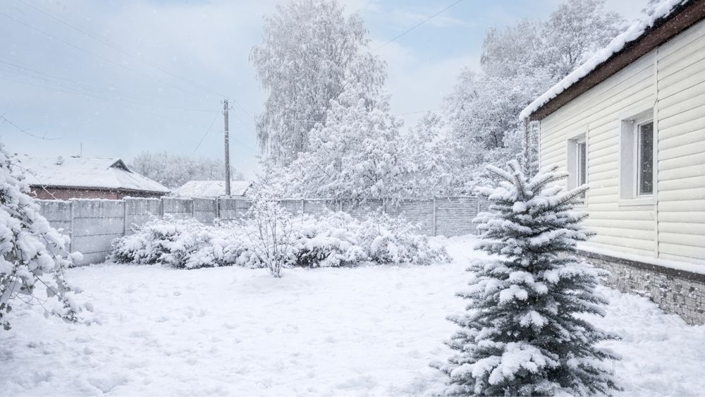 Будинок дача з ремонтом Седнев груба скважина погреб
