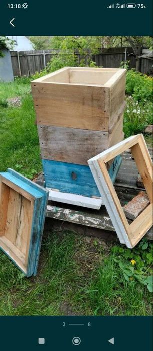 Улья Рута безфальцеві