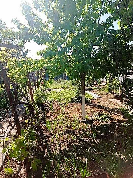 Дом Светлое 80 кв.м 3 комнаты Мебель Техника Гидрофор 6 соток