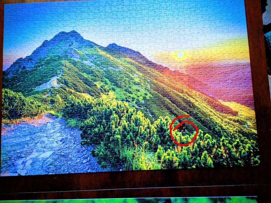 Puzzle Trefl 2*1000