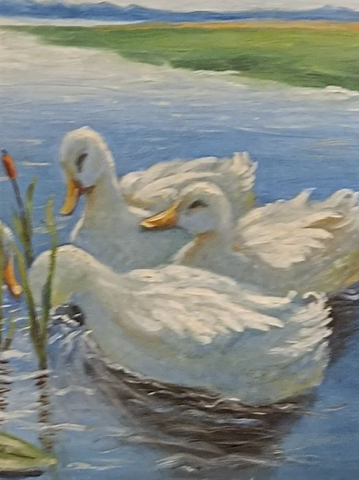 Max Koester ?.Kaczki .Obraz .Germany.