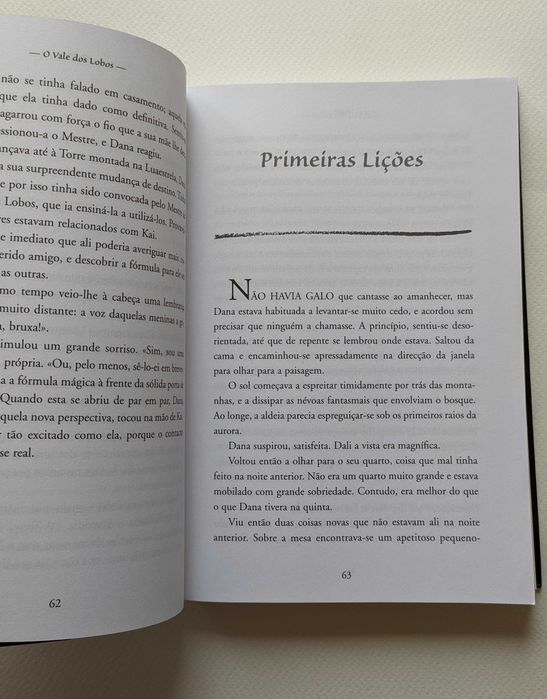 O Vale dos Lobos - laura gallego garcia (livro)