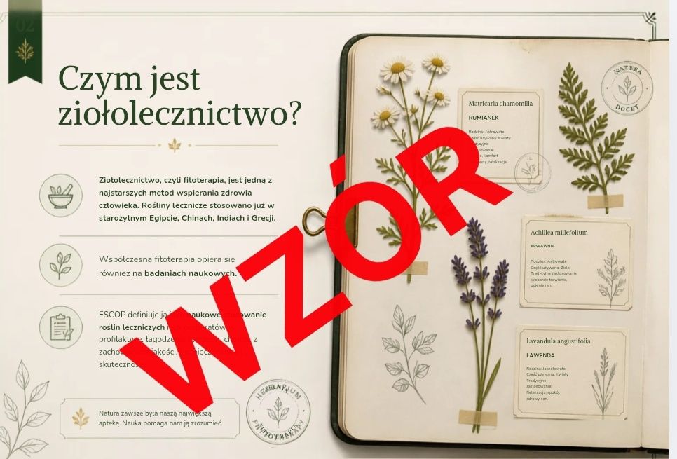 Plakaty, E-booki  Prezentacje – Canva, Przeróbka Zdjęć!