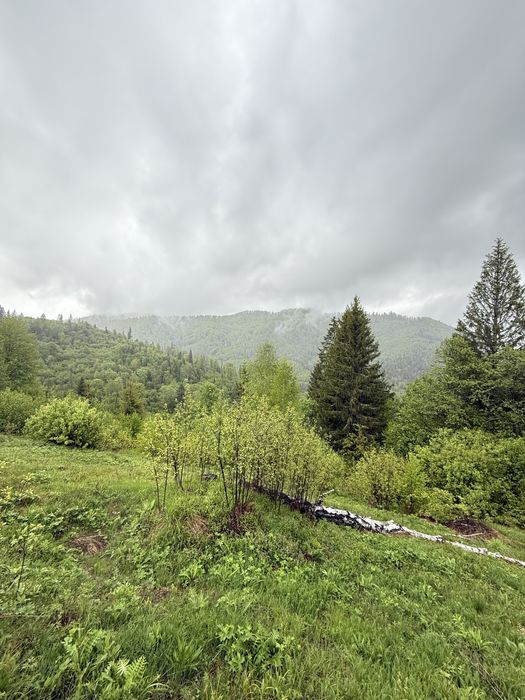 Земельна ділянка Славсько 37.5 соток