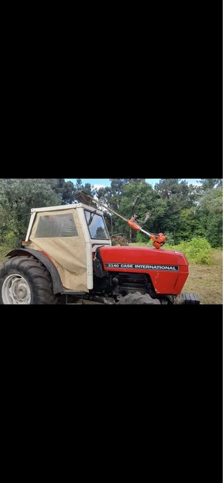 Limpeza de terrenos e venda de lenha