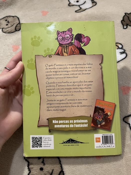 Gato fantástico e a pedra mágica