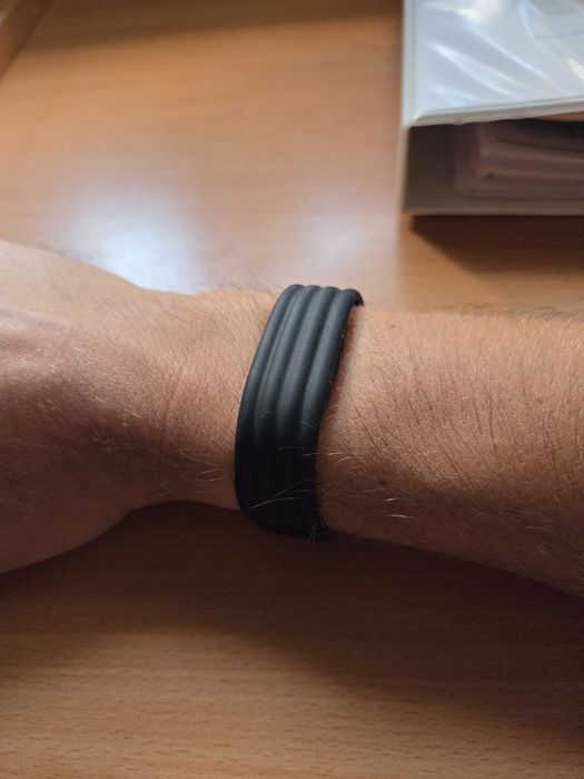Google Fitbit Air
