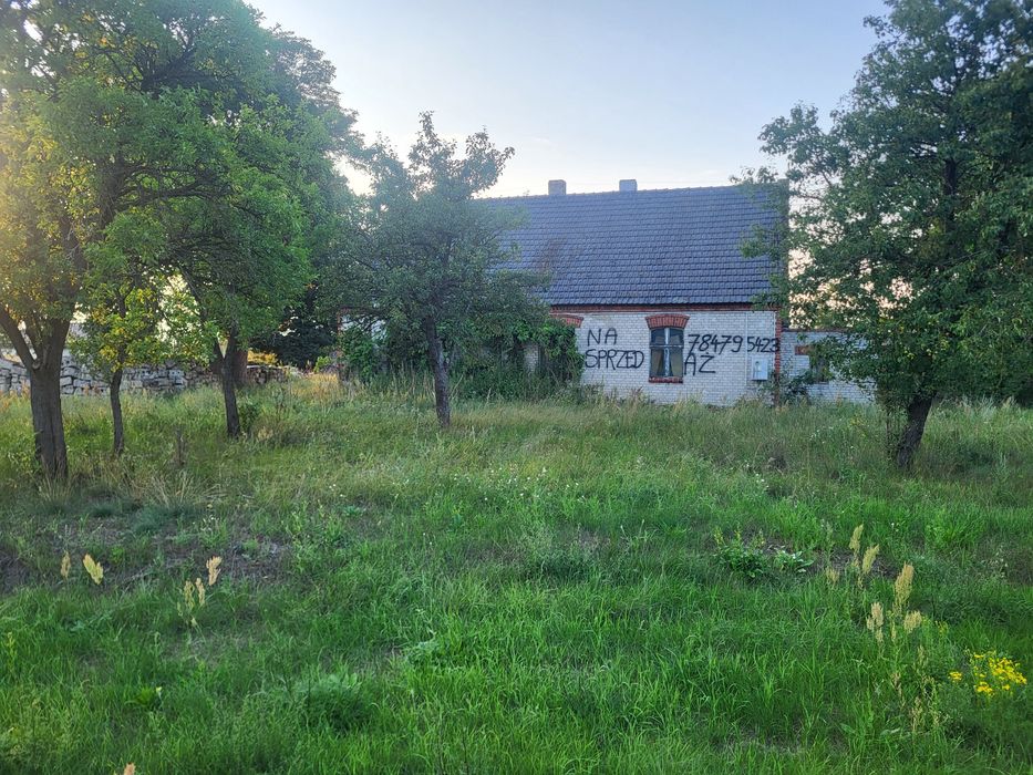 Działka Jeżewice  3300m2