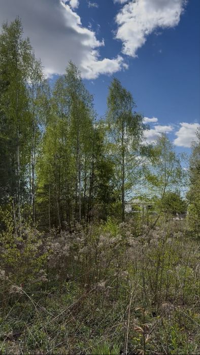 Izbica k. Serocka i Jachranki  | 1605 m² | pozwolenie na budowę + projekt domu w cenie