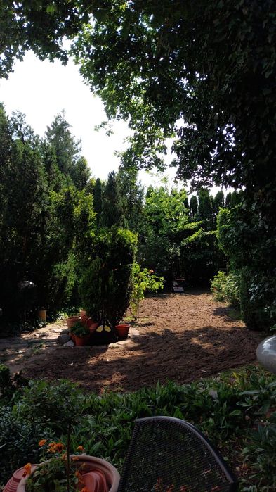 Kompleksowe usługi ogrodnicze, prace porządkowe, pielęgnacja ogrodów