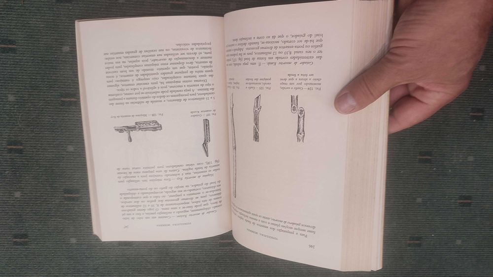 Viticultura Moderna - Pedro Bravo e Duarte de Oliveira