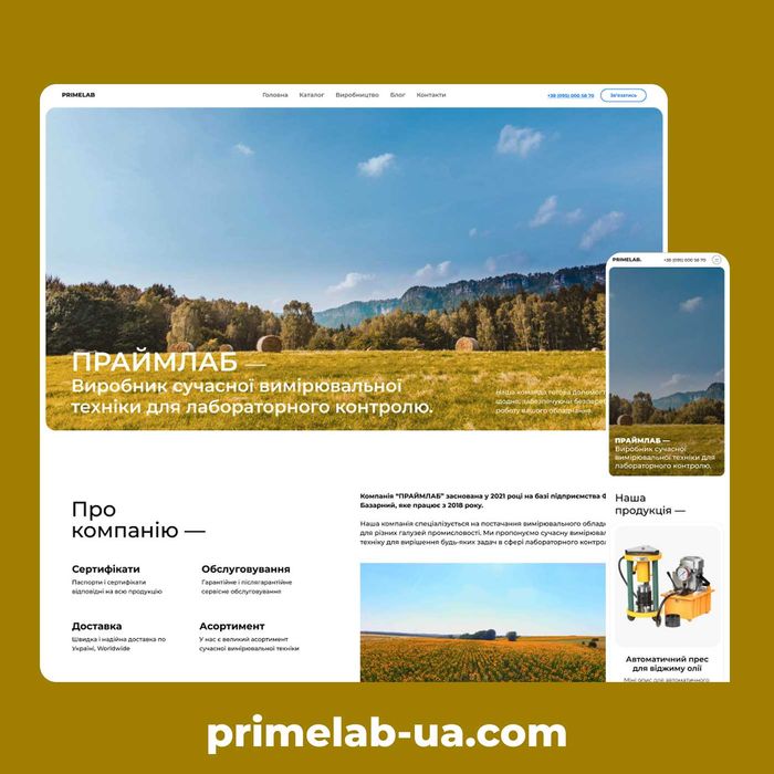 Создать сайт | Создание сайта | Сделать лендинг | Сайт WordPress, SEO