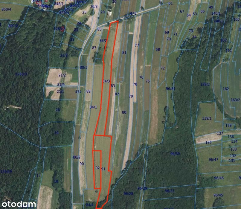 Działka rolna na sprzedaż - Bednarskie