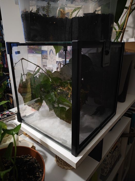 terrarium 30x30x30 exoterra