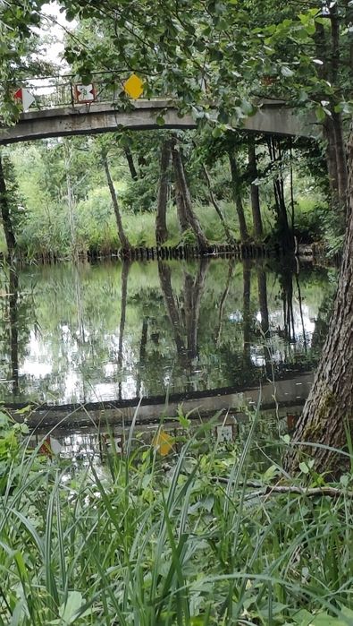 Działka nad kanałem Iławskim z warunkami zabudowy - Widok 6