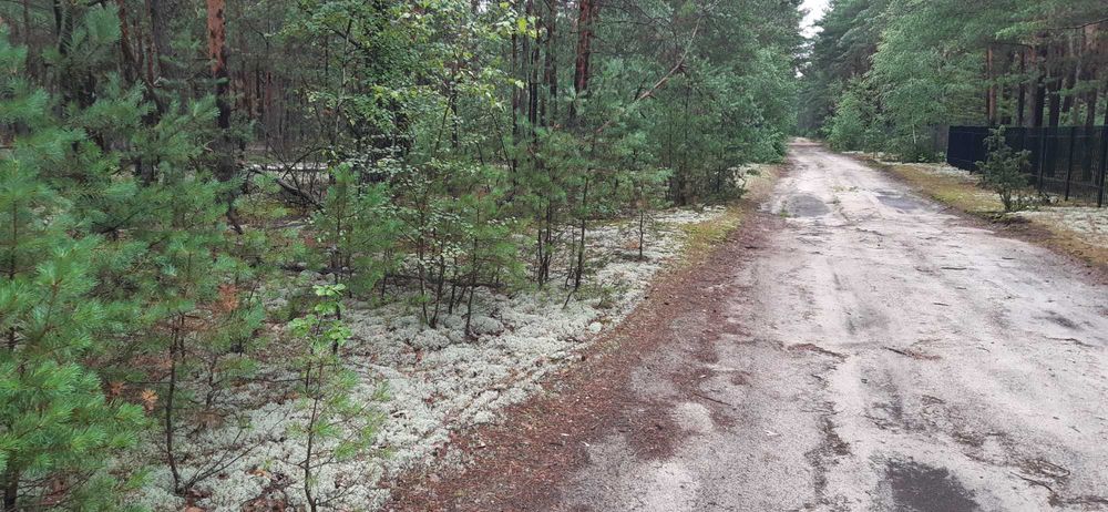 Działka budowlano-rekreacyjna 1400 m² | Popowo-Letnisko, gm. Somianka | MPZP - Widok 4