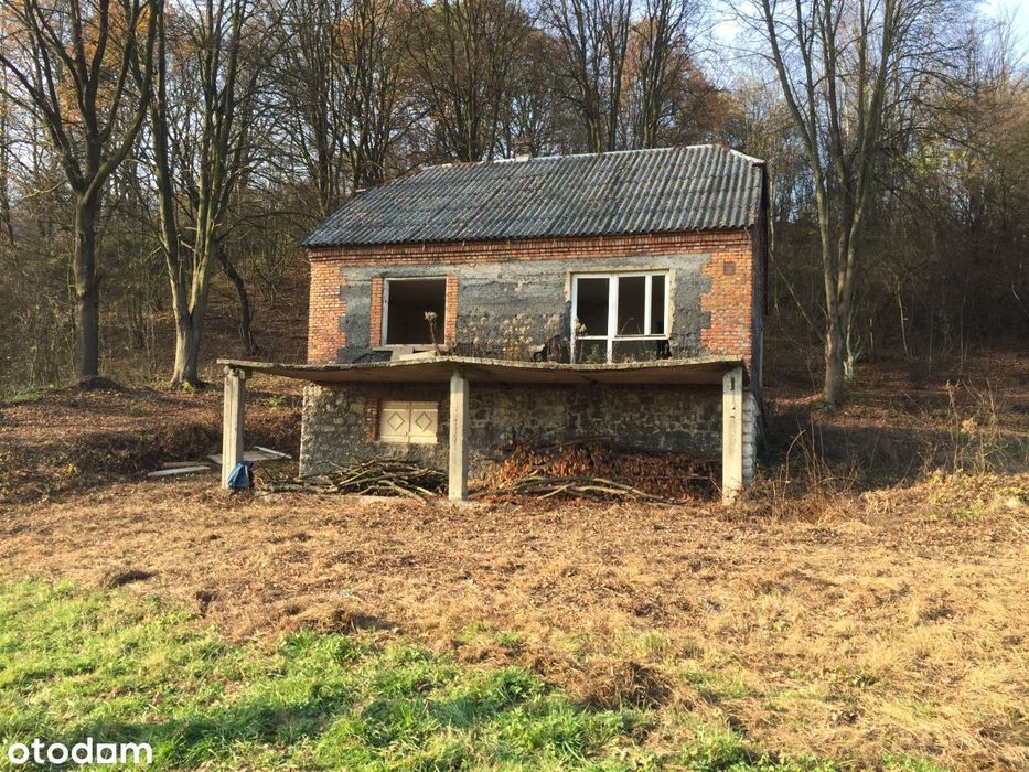 Na sprzedaż urokliwa działka pod lasem 24 ary - Widok 4