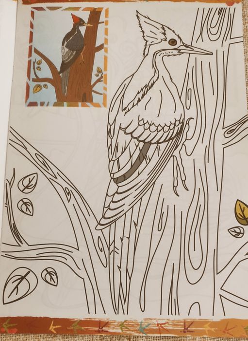 отдам все за шоколадку. розмальовки,арифметика, книги журналы,