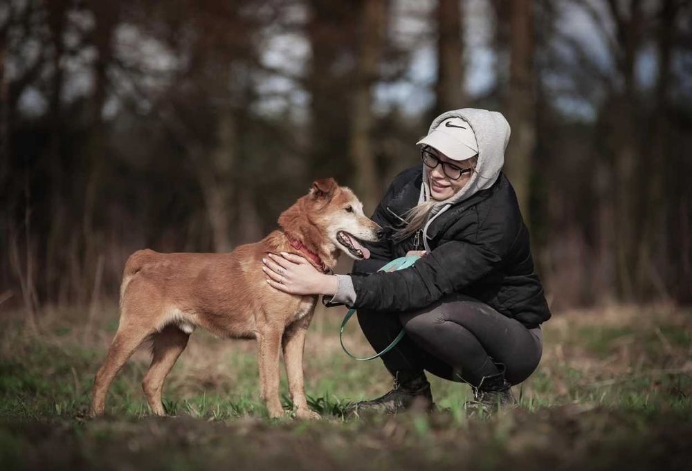 Winne - pies który ciągle się uśmiecha ADOPCJA