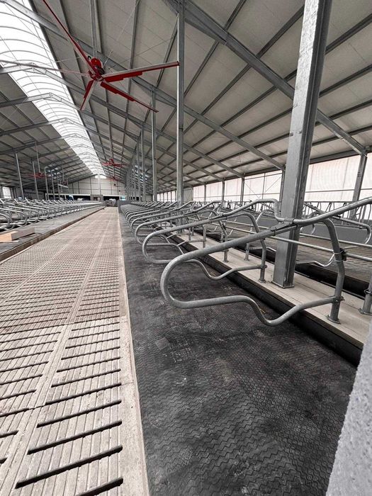 Wygrodzenie legowiskowe PROFIT | Spinder