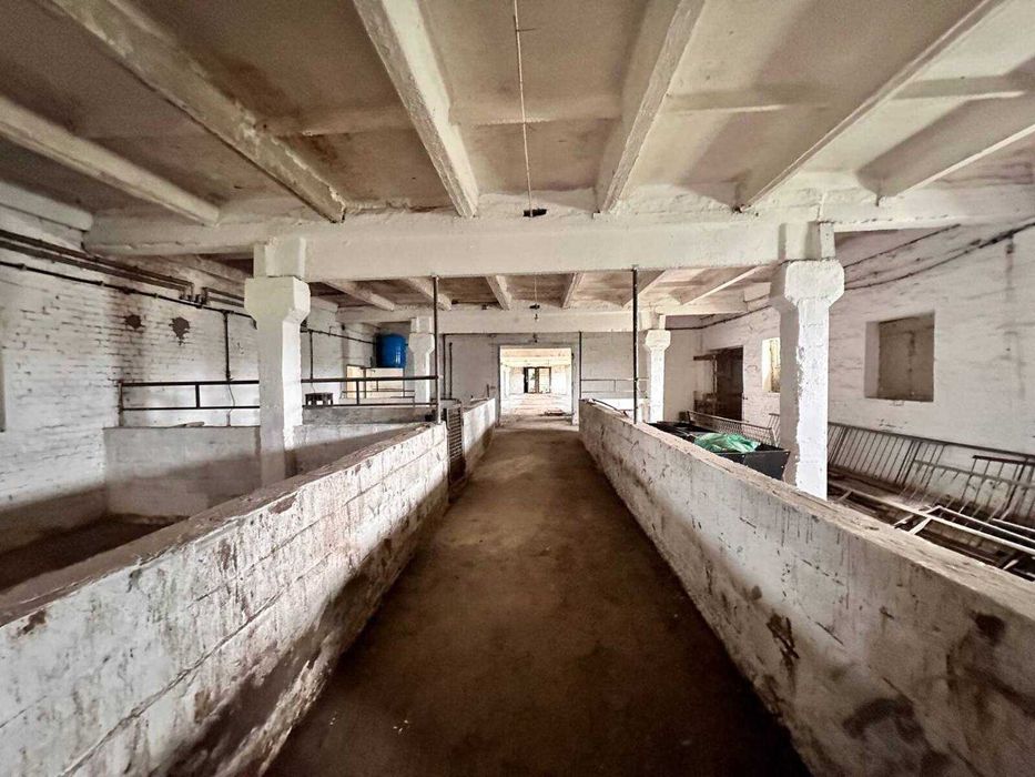 Продаж свиноферми 960м2, 20кВт в с.Великополовецьке