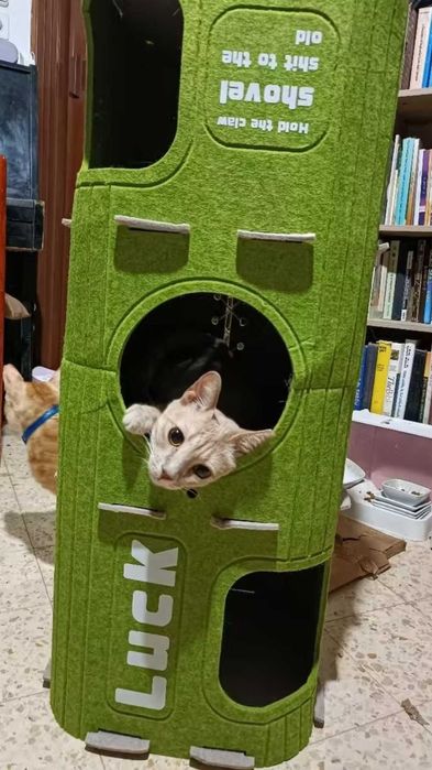 Лежанка когтеточка будинок для котика кота собачки