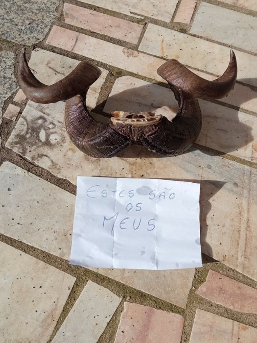 Excelente peça para decoração
